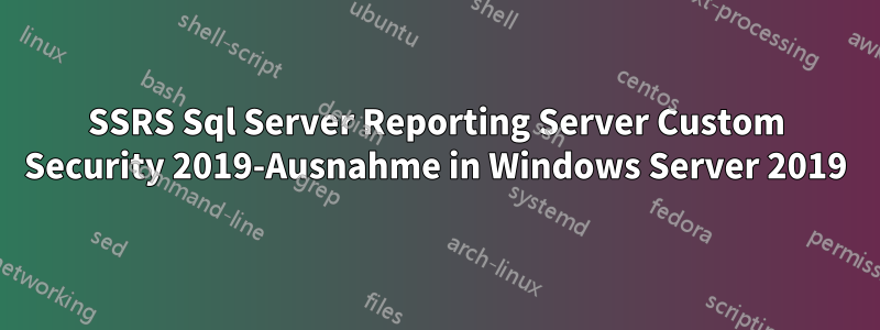 SSRS Sql Server Reporting Server Custom Security 2019-Ausnahme in Windows Server 2019