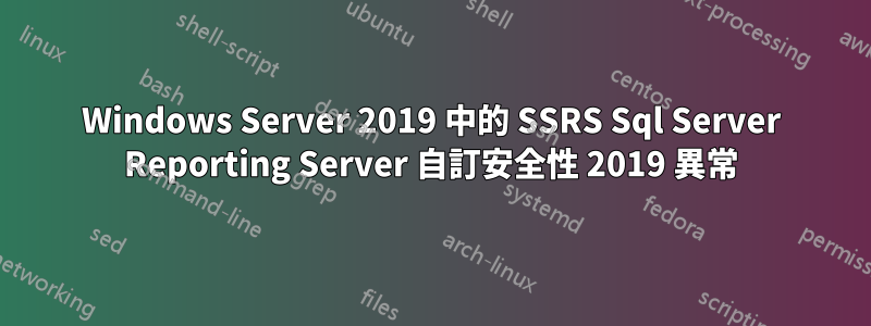 Windows Server 2019 中的 SSRS Sql Server Reporting Server 自訂安全性 2019 異常