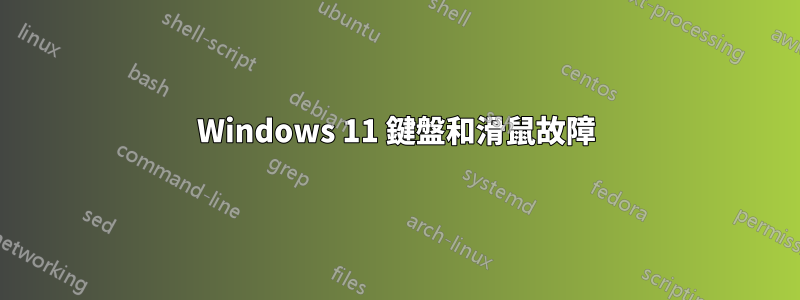 Windows 11 鍵盤和滑鼠故障