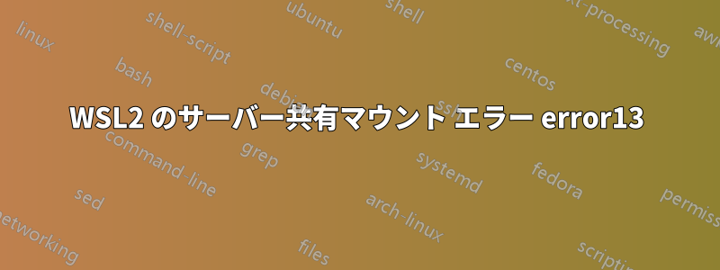 WSL2 のサーバー共有マウント エラー error13