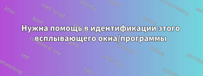 Нужна помощь в идентификации этого всплывающего окна/программы