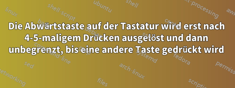 Die Abwärtstaste auf der Tastatur wird erst nach 4-5-maligem Drücken ausgelöst und dann unbegrenzt, bis eine andere Taste gedrückt wird