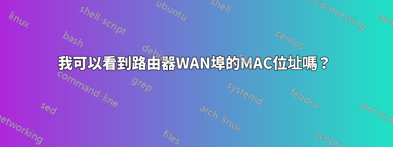 我可以看到路由器WAN埠的MAC位址嗎？