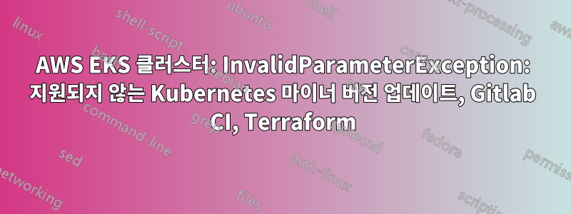 AWS EKS 클러스터: InvalidParameterException: 지원되지 않는 Kubernetes 마이너 버전 업데이트, Gitlab CI, Terraform