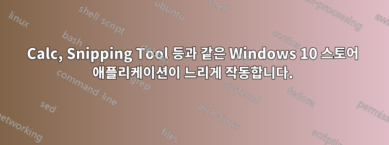 Calc, Snipping Tool 등과 같은 Windows 10 스토어 애플리케이션이 느리게 작동합니다.