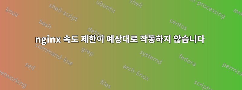 nginx 속도 제한이 예상대로 작동하지 않습니다