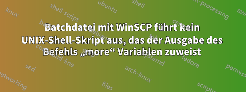 Batchdatei mit WinSCP führt kein UNIX-Shell-Skript aus, das der Ausgabe des Befehls „more“ Variablen zuweist