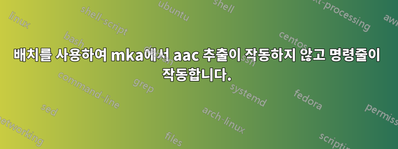 배치를 사용하여 mka에서 aac 추출이 작동하지 않고 명령줄이 작동합니다.