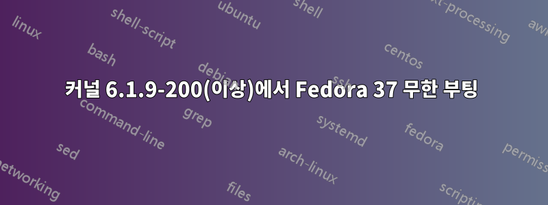 커널 6.1.9-200(이상)에서 Fedora 37 무한 부팅