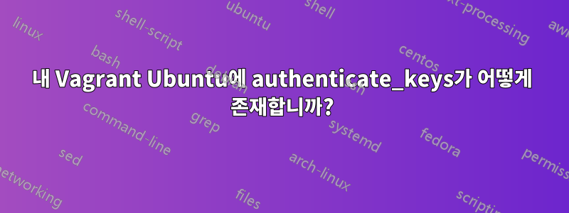 내 Vagrant Ubuntu에 authenticate_keys가 어떻게 존재합니까?