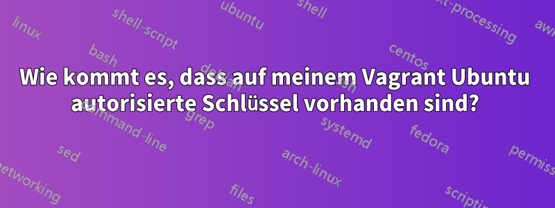 Wie kommt es, dass auf meinem Vagrant Ubuntu autorisierte Schlüssel vorhanden sind?