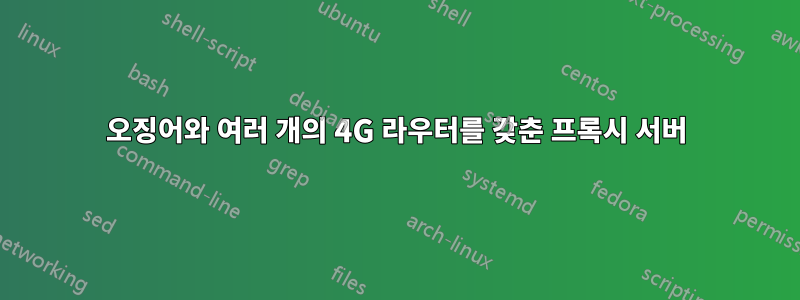 오징어와 여러 개의 4G 라우터를 갖춘 프록시 서버