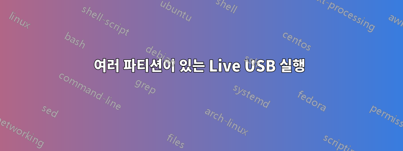 여러 파티션이 있는 Live USB 실행