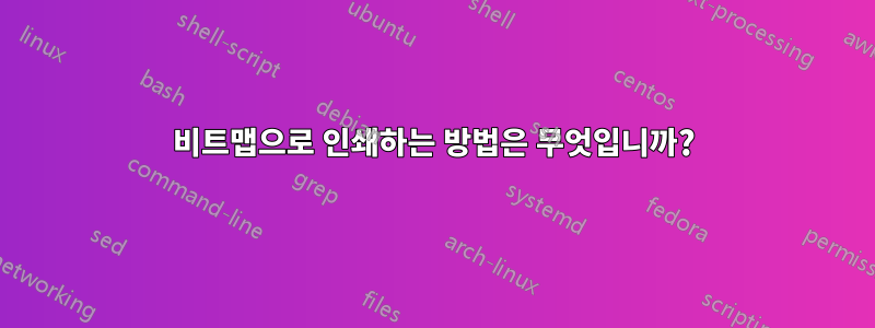 비트맵으로 인쇄하는 방법은 무엇입니까?