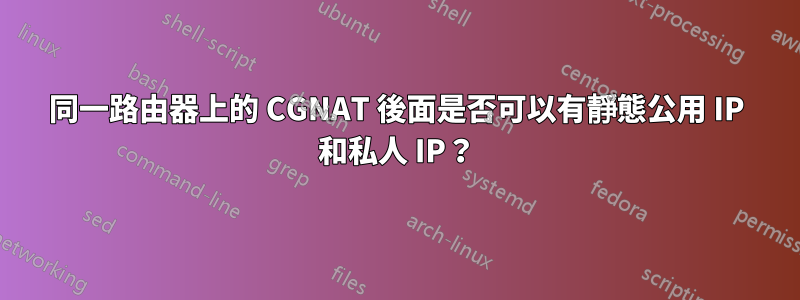 同一路由器上的 CGNAT 後面是否可以有靜態公用 IP 和私人 IP？