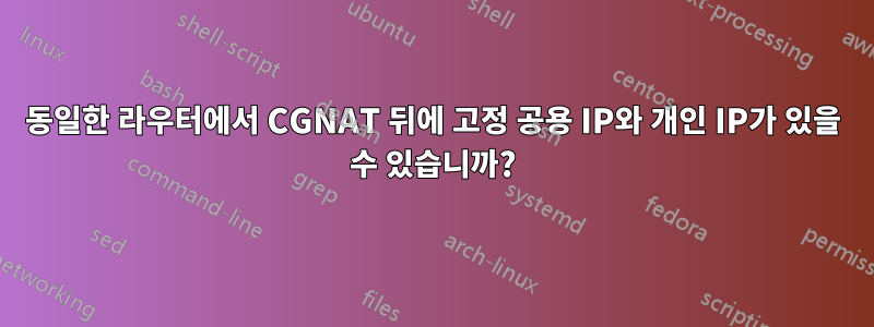 동일한 라우터에서 CGNAT 뒤에 고정 공용 IP와 개인 IP가 있을 수 있습니까?