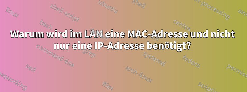 Warum wird im LAN eine MAC-Adresse und nicht nur eine IP-Adresse benötigt?