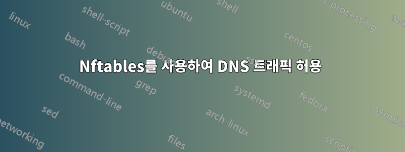 Nftables를 사용하여 DNS 트래픽 허용