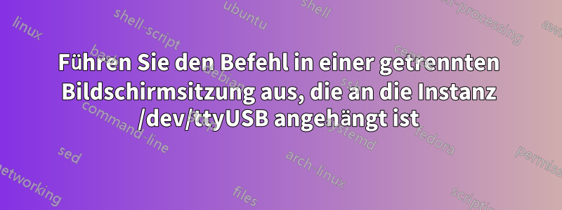 Führen Sie den Befehl in einer getrennten Bildschirmsitzung aus, die an die Instanz /dev/ttyUSB angehängt ist
