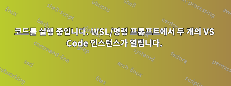 코드를 실행 중입니다. WSL/명령 프롬프트에서 두 개의 VS Code 인스턴스가 열립니다.