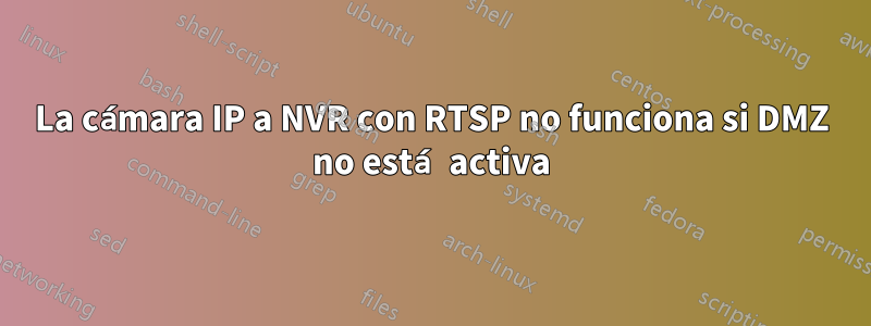 La cámara IP a NVR con RTSP no funciona si DMZ no está activa