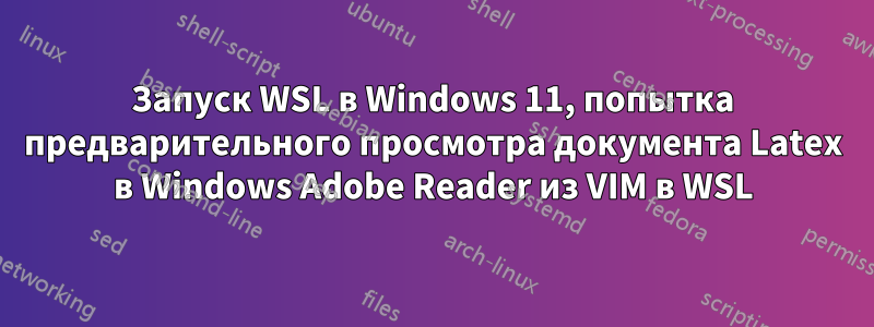 Запуск WSL в Windows 11, попытка предварительного просмотра документа Latex в Windows Adobe Reader из VIM в WSL