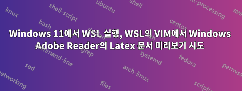 Windows 11에서 WSL 실행, WSL의 VIM에서 Windows Adobe Reader의 Latex 문서 미리보기 시도