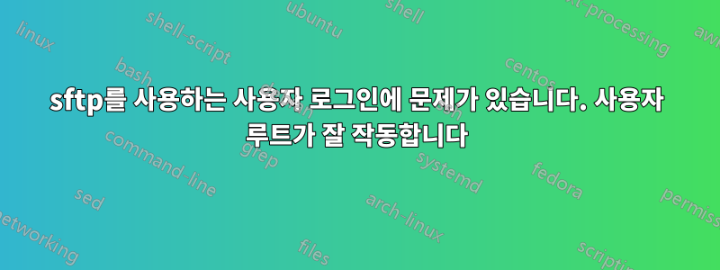 sftp를 사용하는 사용자 로그인에 문제가 있습니다. 사용자 루트가 잘 작동합니다