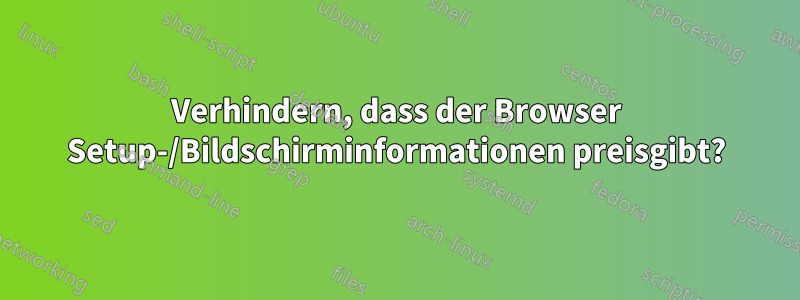 Verhindern, dass der Browser Setup-/Bildschirminformationen preisgibt?