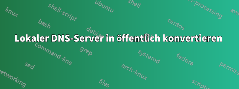 Lokaler DNS-Server in öffentlich konvertieren