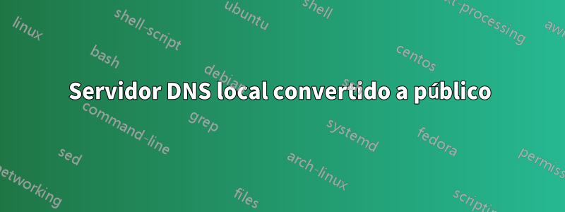 Servidor DNS local convertido a público