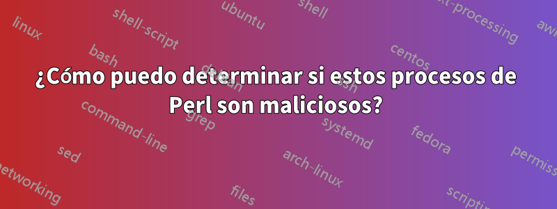 ¿Cómo puedo determinar si estos procesos de Perl son maliciosos?