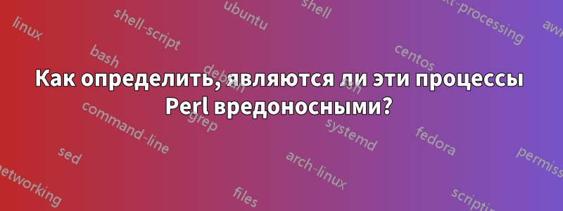 Как определить, являются ли эти процессы Perl вредоносными?