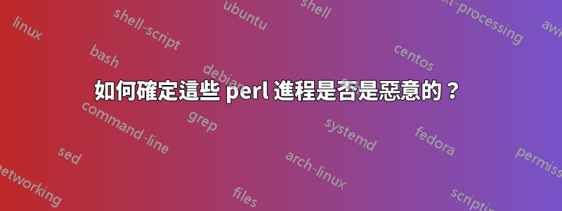 如何確定這些 perl 進程是否是惡意的？