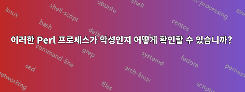 이러한 Perl 프로세스가 악성인지 어떻게 확인할 수 있습니까?