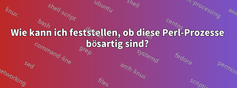 Wie kann ich feststellen, ob diese Perl-Prozesse bösartig sind?