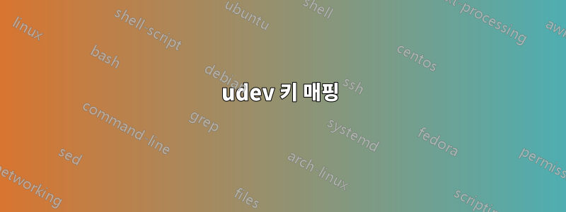 udev 키 매핑