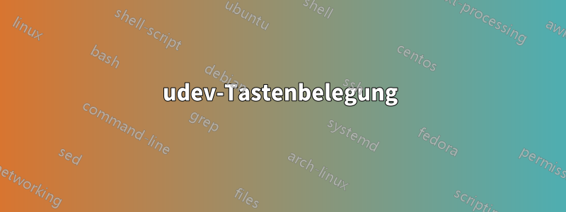 udev-Tastenbelegung