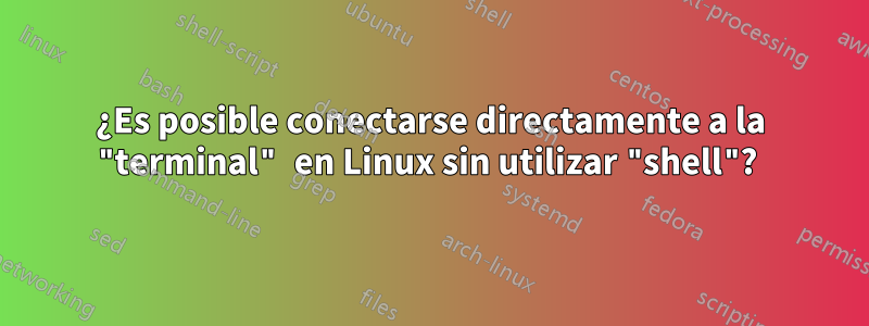 ¿Es posible conectarse directamente a la "terminal" en Linux sin utilizar "shell"? 