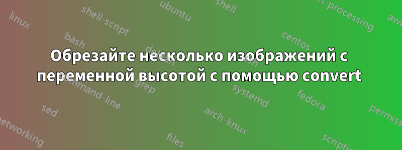 Обрезайте несколько изображений с переменной высотой с помощью convert