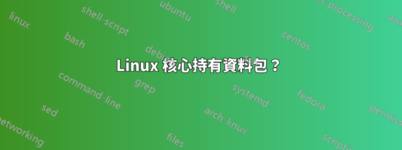 Linux 核心持有資料包？