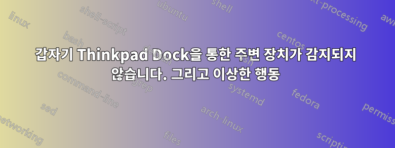 갑자기 Thinkpad Dock을 통한 주변 장치가 감지되지 않습니다. 그리고 이상한 행동