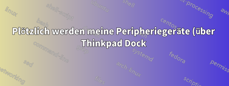 Plötzlich werden meine Peripheriegeräte (über Thinkpad Dock) nicht mehr erkannt. Und seltsames Verhalten