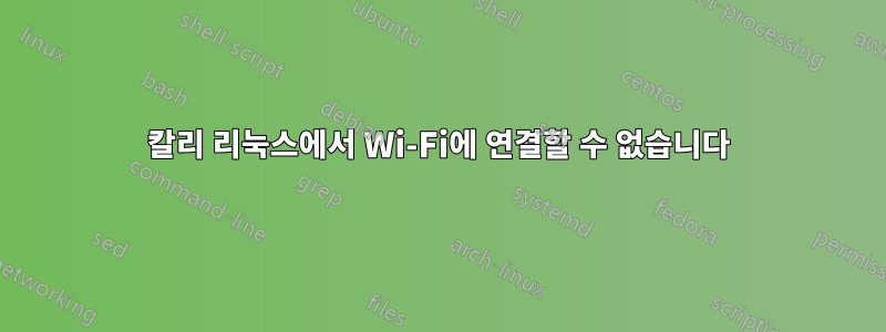 칼리 리눅스에서 Wi-Fi에 연결할 수 없습니다