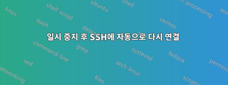 일시 중지 후 SSH에 자동으로 다시 연결