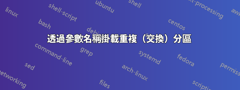 透過參數名稱掛載重複（交換）分區