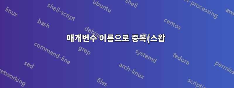 매개변수 이름으로 중복(스왑) 파티션 마운트