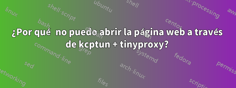 ¿Por qué no puedo abrir la página web a través de kcptun + tinyproxy?