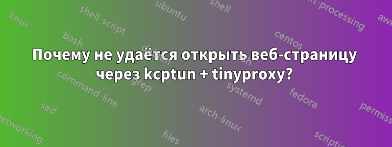 Почему не удаётся открыть веб-страницу через kcptun + tinyproxy?