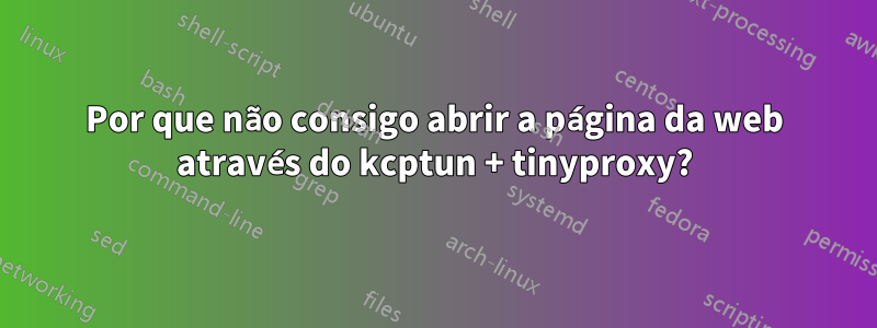 Por que não consigo abrir a página da web através do kcptun + tinyproxy?